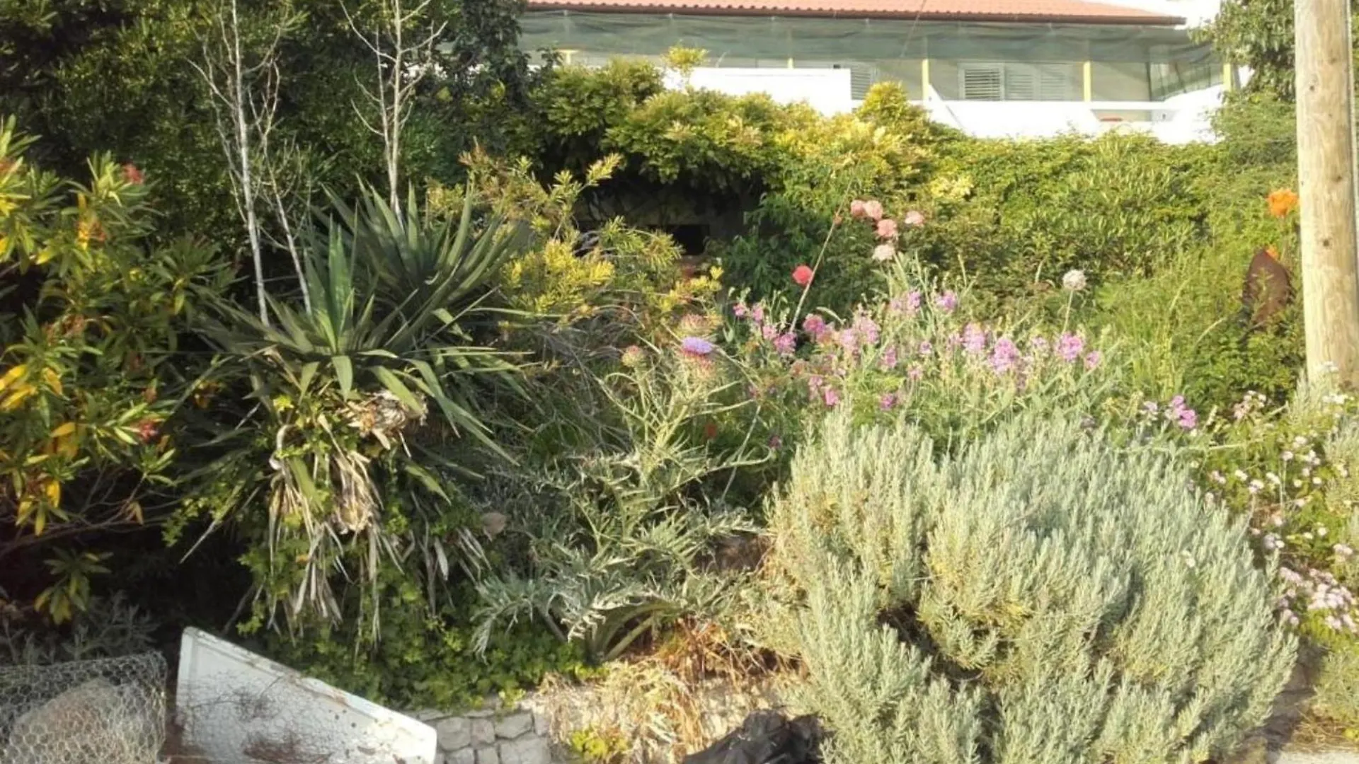 Guest House Green Corner Supetarska Draga